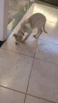 Marley