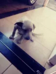 Marley