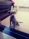 Marley