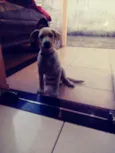 Marley