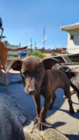 Não tem