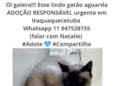 Gatão