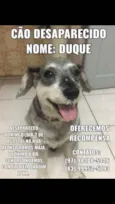 Duque