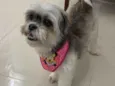 Marie