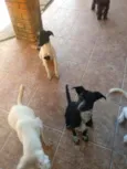 Não tem