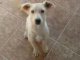 Não tem