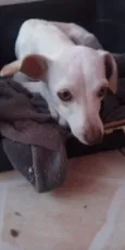Meg