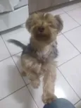 Nick