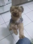 Nick