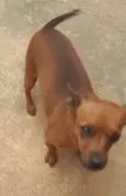 Teca 