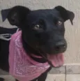 Sophie 