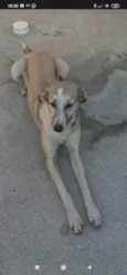 Não sei