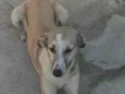 Não sei
