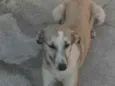 Não sei