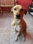 Mel
