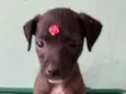 Zoe