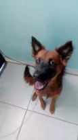 Niña