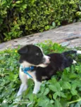 Marley