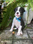 Marley
