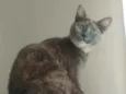 Agnes