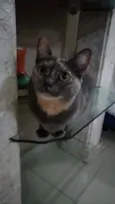 Agnes