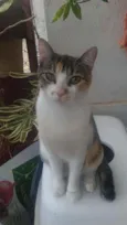 Menina