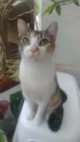 Menina