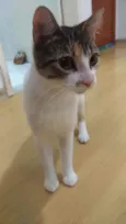 Menina