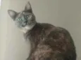 Agnes