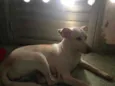 sol