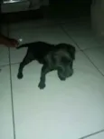 Sn