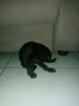 Sn