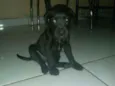 Sn