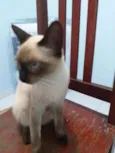 Rubi