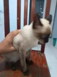 Rubi