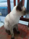 Rubi