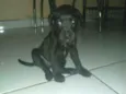 Sn