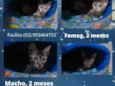 Sem nome