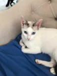 Valentina