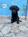 Úrsula