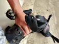 Banguela e Negão