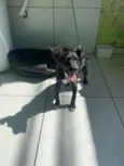 Tico e Teco