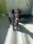 Tico e Teco