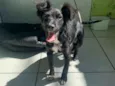 Tico e Teco