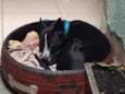 Jack