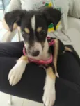 Lola