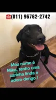 Nomes na foto