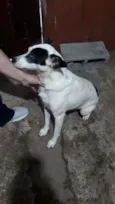 Suspiro