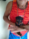 8 Fêmea e 1 Machinho