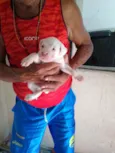 8 Fêmea e 1 Machinho